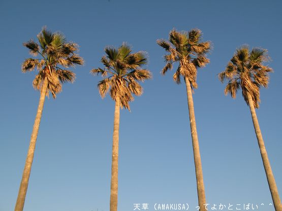 苓北町～富岡