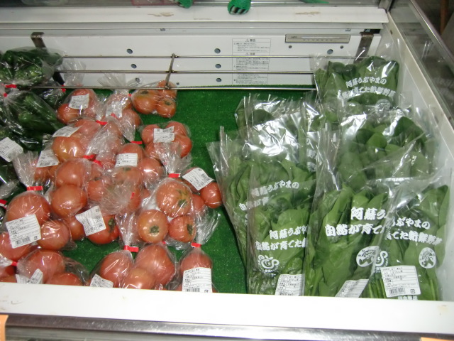 産山野菜2