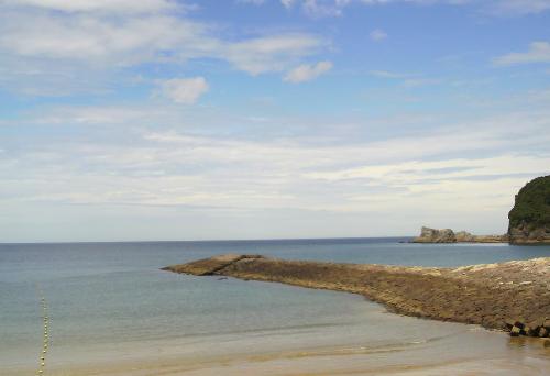 白鶴浜　８月２６日