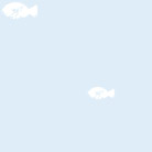 fish01_blue