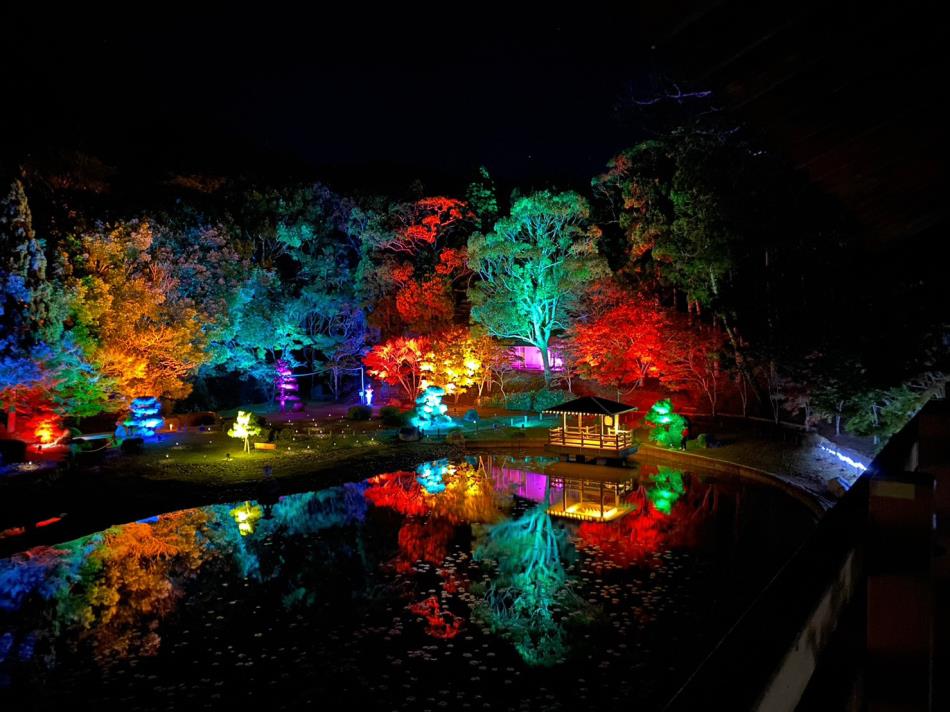 日本庭園ライトアップ１