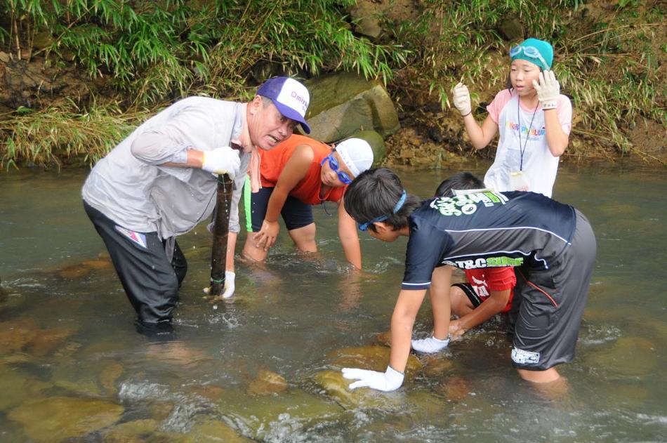 夏うなぎ取り