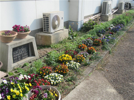 花7