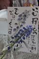 正行寺の絵手紙-4