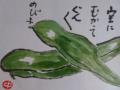4月の絵手紙-1-9
