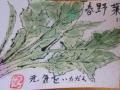 4月の絵手紙-1-10